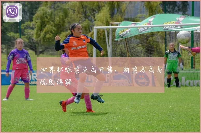 世界杯球票正式开售,购票方式与规则详解
