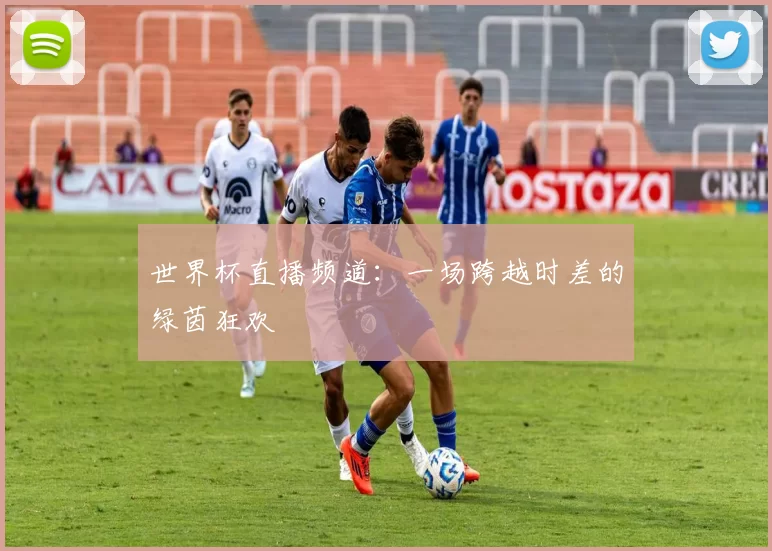 世界杯直播频道:一场跨越时差的绿茵狂欢