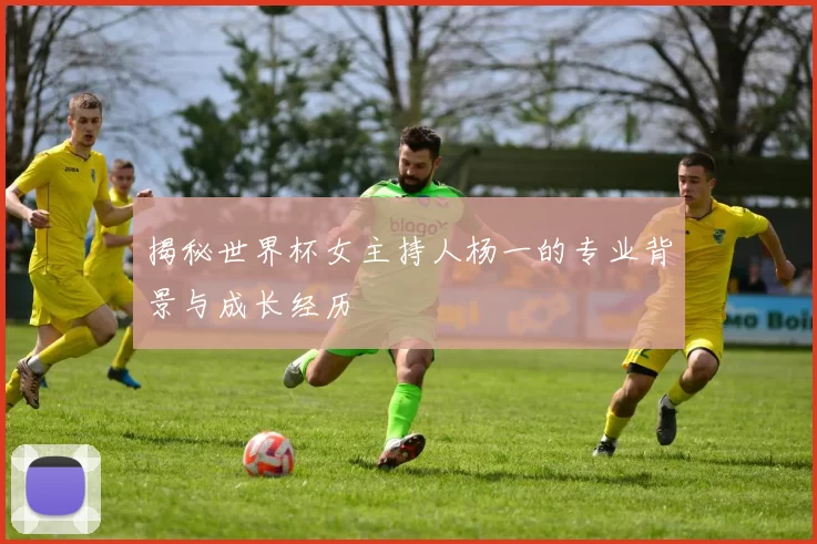 揭秘世界杯女主持人杨一的专业背景与成长经历