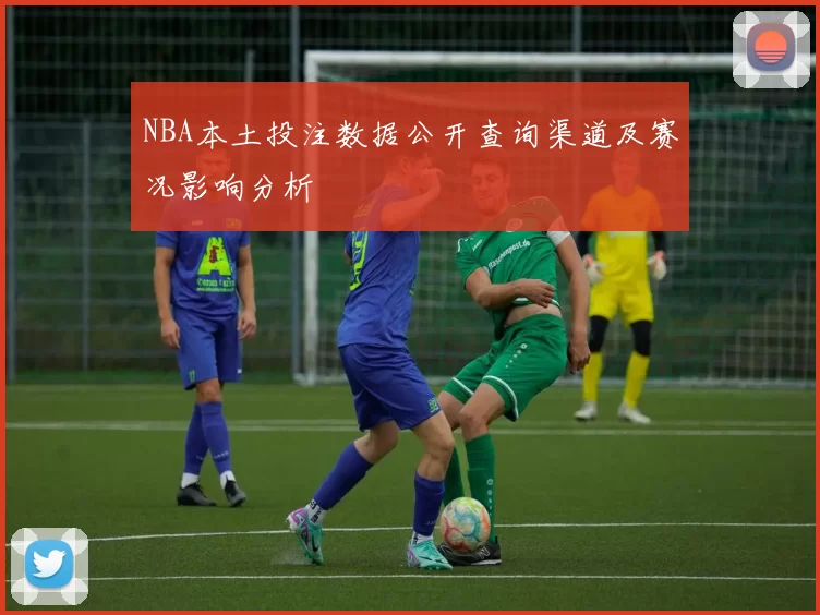 NBA本土投注数据公开查询渠道及赛况影响分析