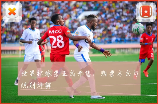 世界杯球票正式开售,购票方式与规则详解