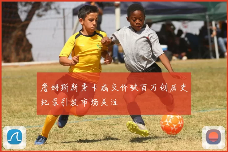 詹姆斯新秀卡成交价破百万创历史纪录引发市场关注
