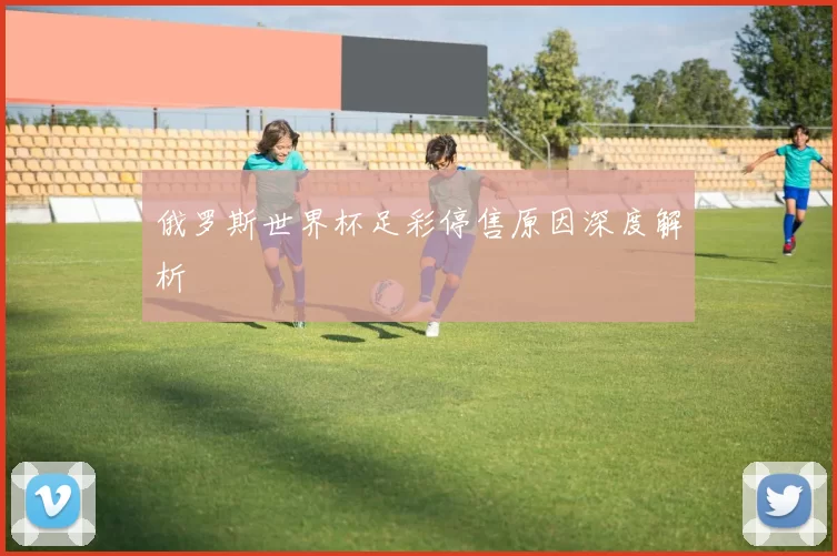 俄罗斯世界杯足彩停售原因深度解析