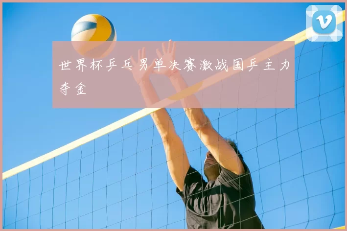 世界杯乒乓男单决赛激战国乒主力夺金