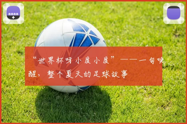 “世界杯呀小度小度”——一句唤醒,整个夏天的足球故事
