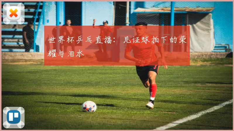 世界杯乒乓直播：见证球拍下的荣耀与泪水