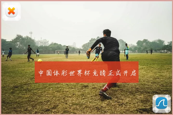 中国体彩世界杯竞猜正式开启