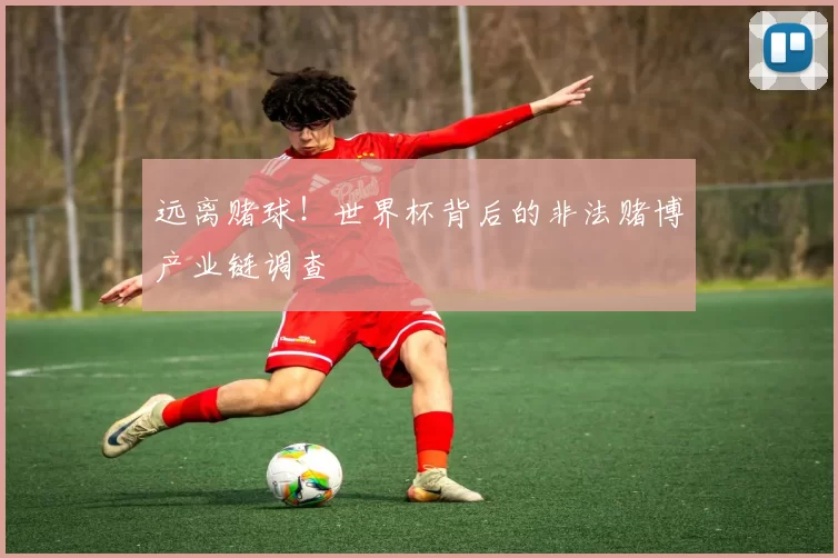 远离赌球!世界杯背后的非法赌博产业链调查