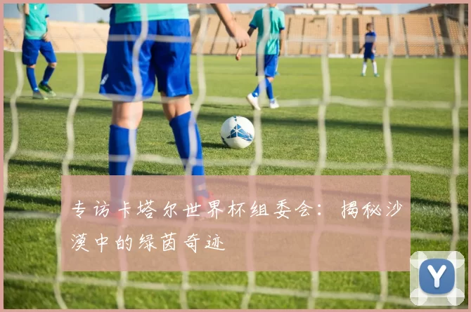 专访卡塔尔世界杯组委会:揭秘沙漠中的绿茵奇迹