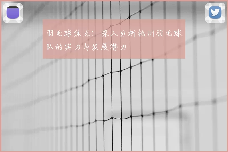 羽毛球焦点:深入分析杭州羽毛球队的实力与发展潜力