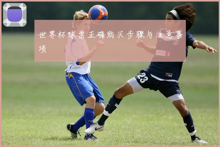 世界杯球票正确购买步骤与注意事项