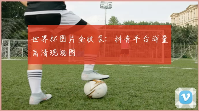 世界杯图片全收录：抖音平台海量高清现场图