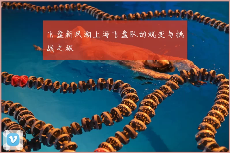 飞盘新风潮上海飞盘队的蜕变与挑战之旅