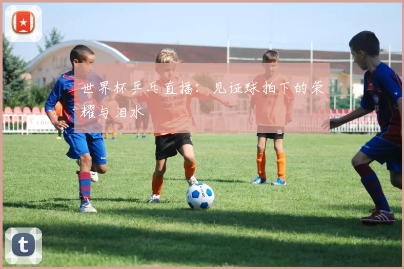 世界杯乒乓直播：见证球拍下的荣耀与泪水